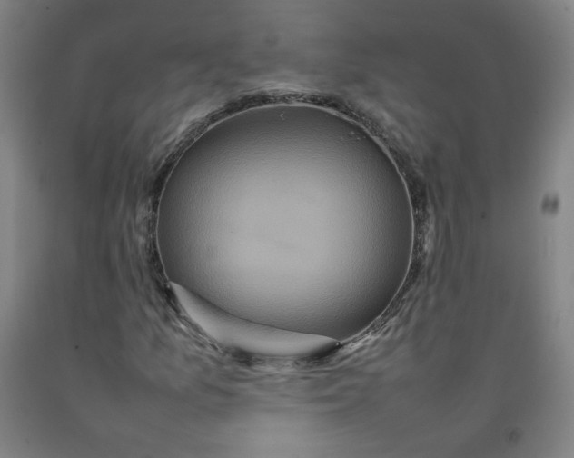X0000092221157200709281037