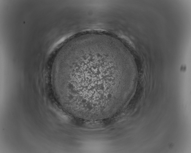 X0000092221159200709281037