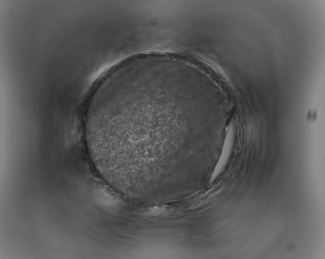 X0000092221160200709281037