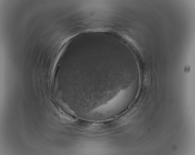 X0000092221161200709281037