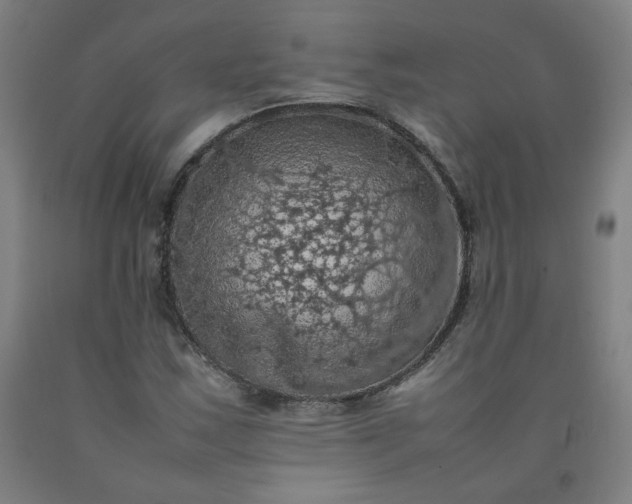 X0000092221163200709281037