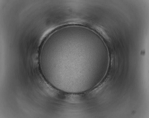 X0000092221164200709281037