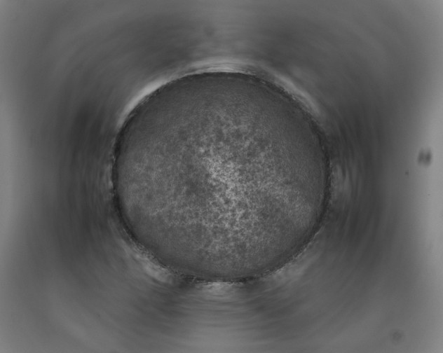 X0000092221166200709281037