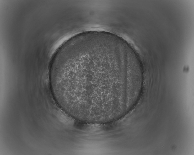 X0000092221167200709281037