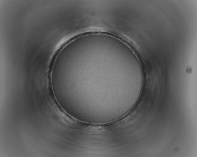 X0000092221168200709281037