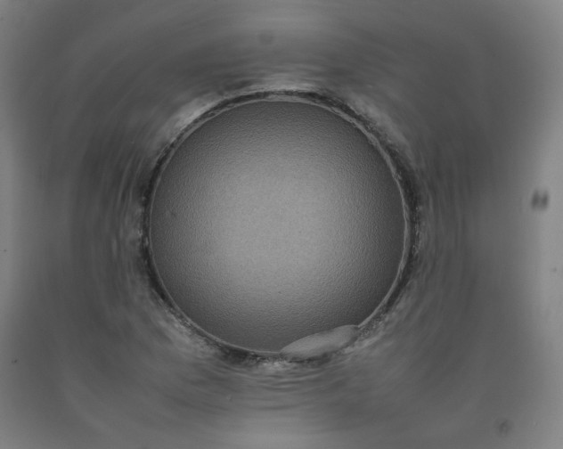 X0000092221169200709281037
