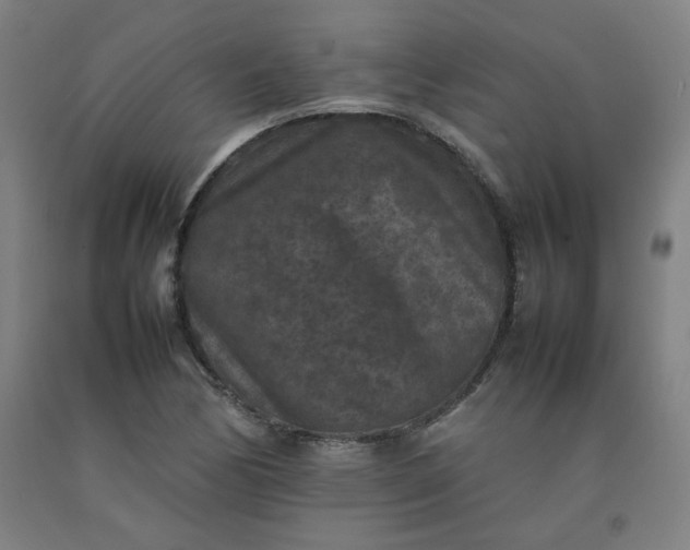 X0000092221170200709281037