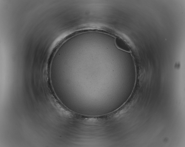 X0000092221172200709281037
