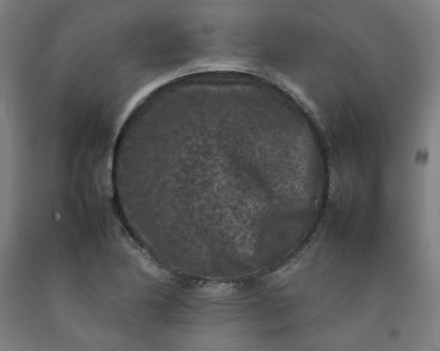 X0000092221174200709281037
