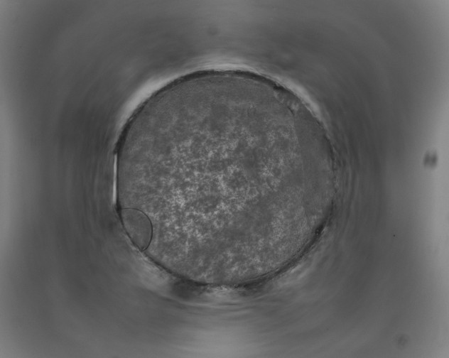 X0000092221175200709281037