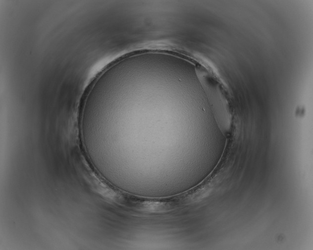 X0000092221176200709281037