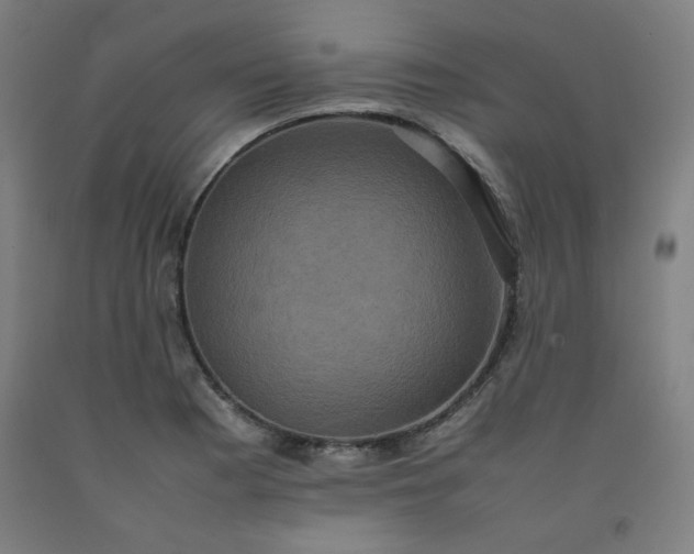 X0000092221177200709281037