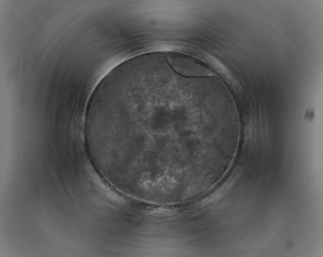 X0000092221178200709281037