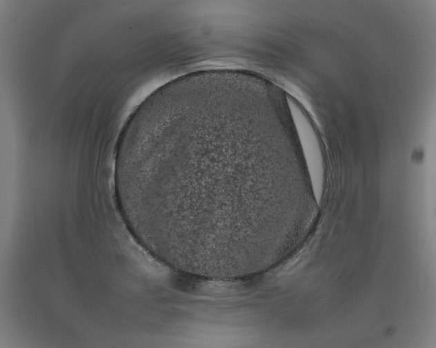 X0000092221179200709281037