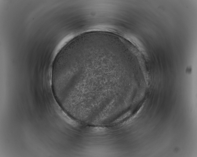 X0000092221180200709281037