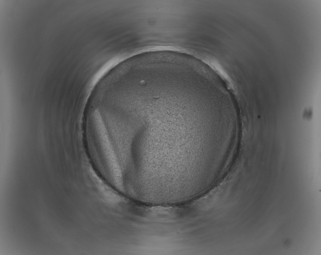 X0000092221181200709281037