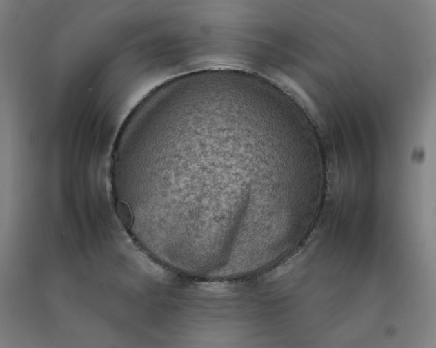 X0000092221182200709281037
