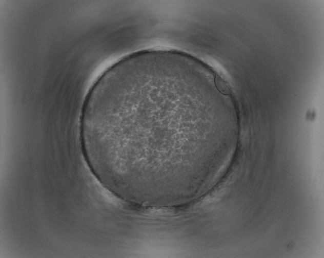 X0000092221183200709281037