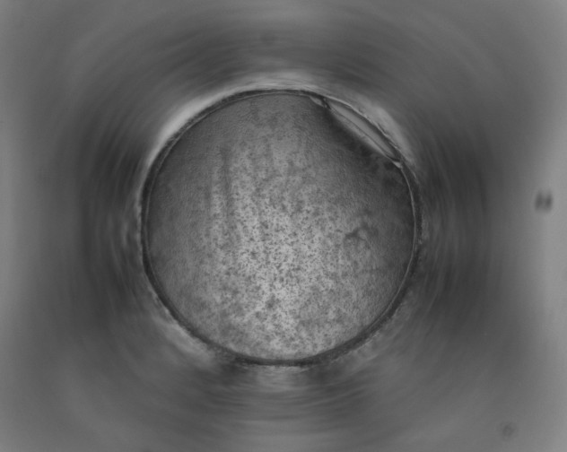 X0000092221184200709281037