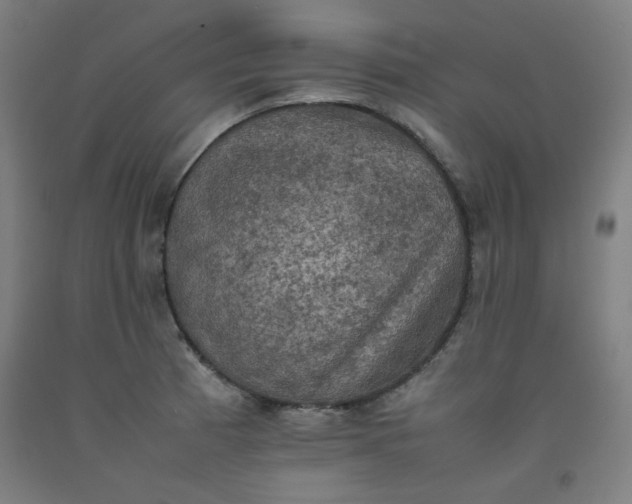 X0000092221185200709281037