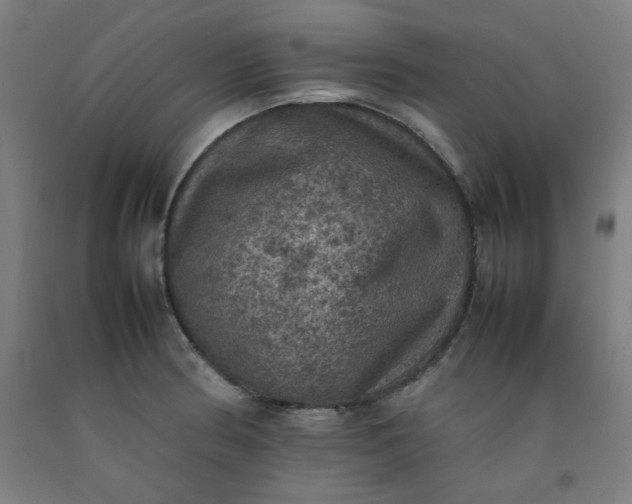 X0000092221186200709281037