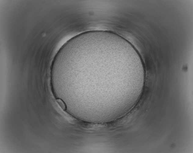 X0000092221187200709281037