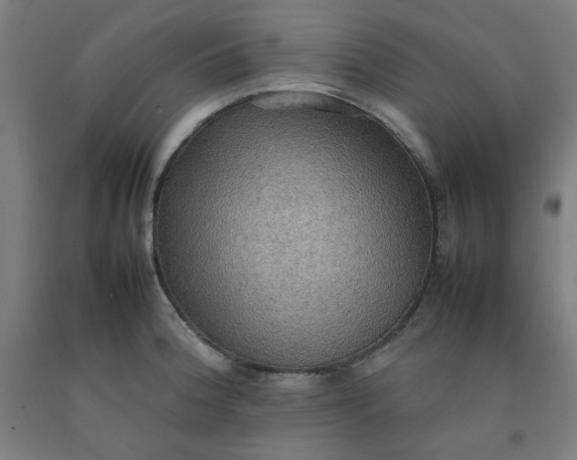 X0000092221188200709281037