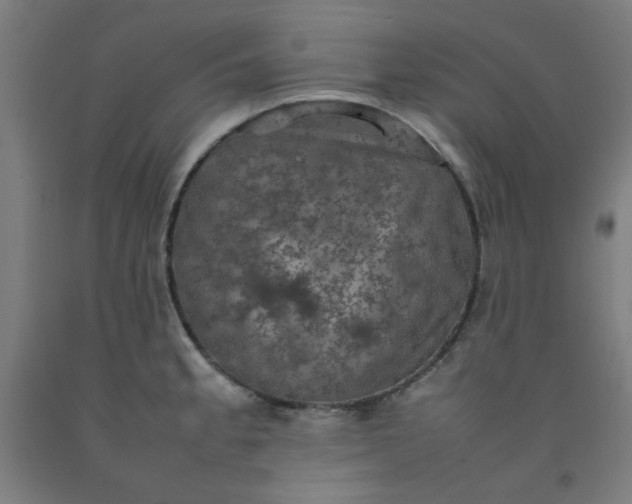 X0000092221189200709281037