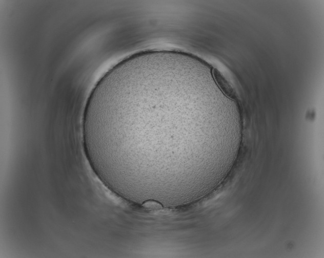 X0000092221191200709281037
