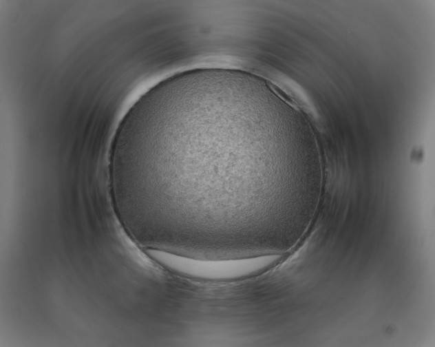 X0000092221192200709281037