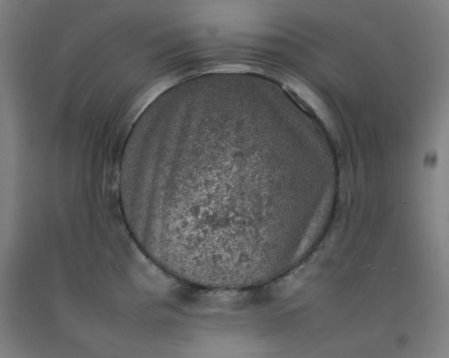 X0000092221193200709281037