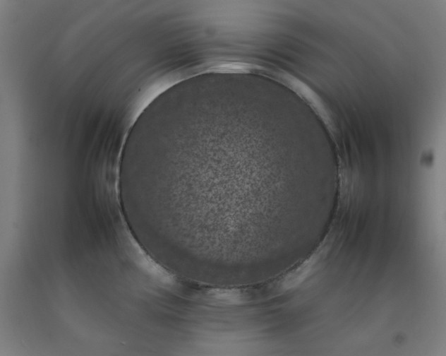 X0000092221194200709281037