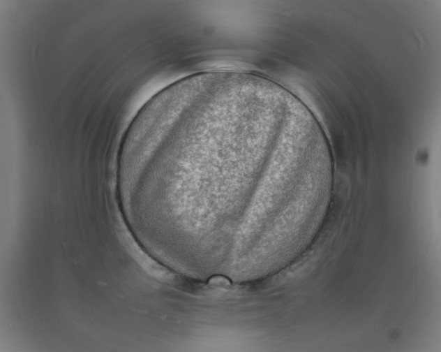X0000092221195200709281037