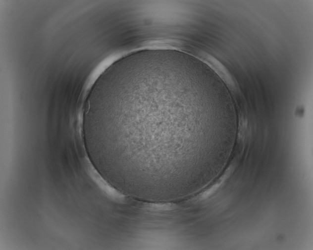 X0000092221196200709281037