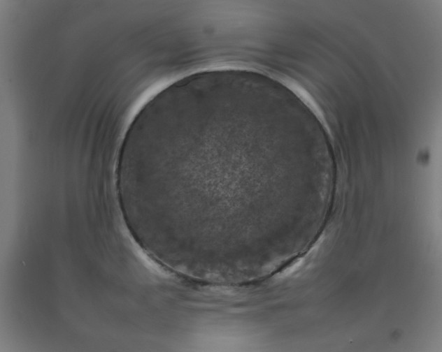 X0000092221197200709281037