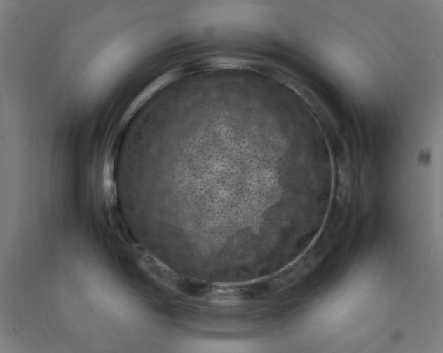 X0000092221198200709281037