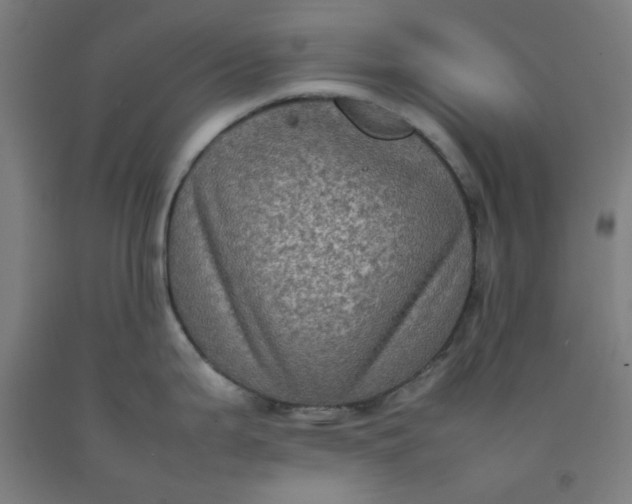 X0000092221199200709281037