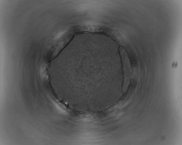 X0000092221202200709281036