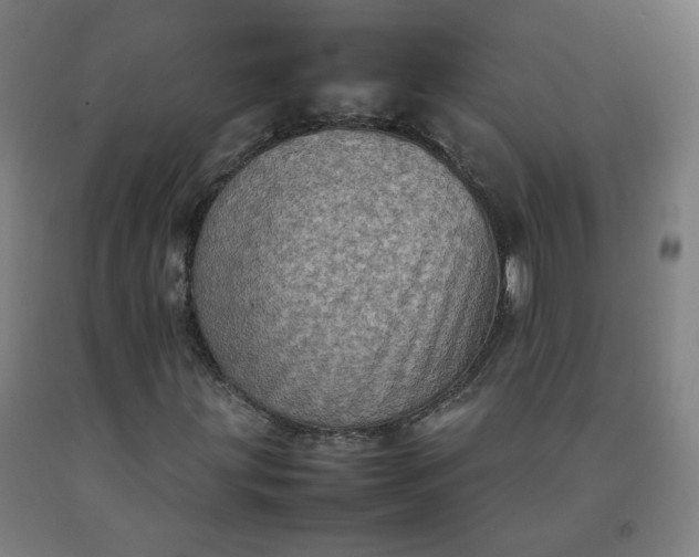 X0000092221203200709281036