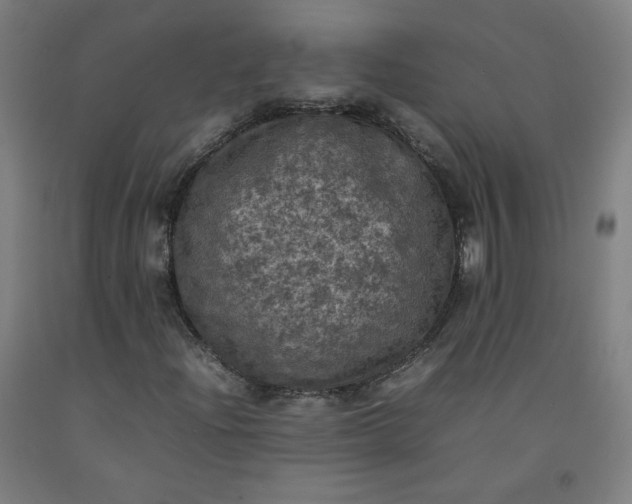 X0000092221204200709281036