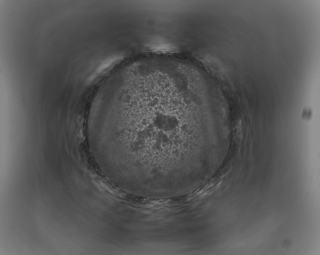 X0000092221205200709281036