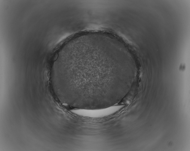 X0000092221206200709281036