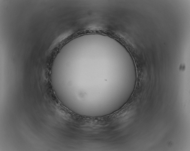 X0000092221207200709281036