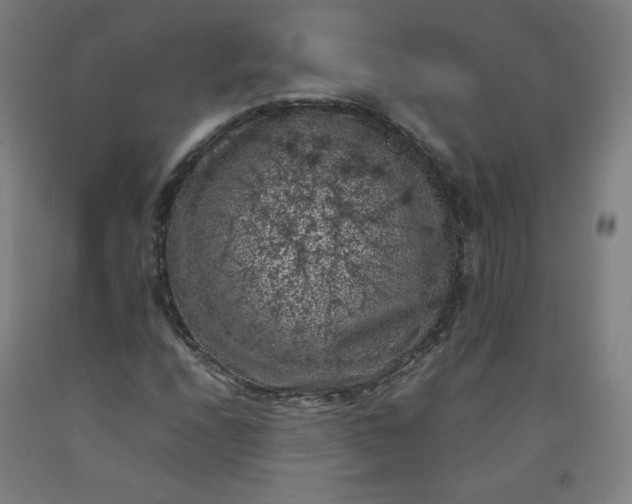 X0000092221208200709281036