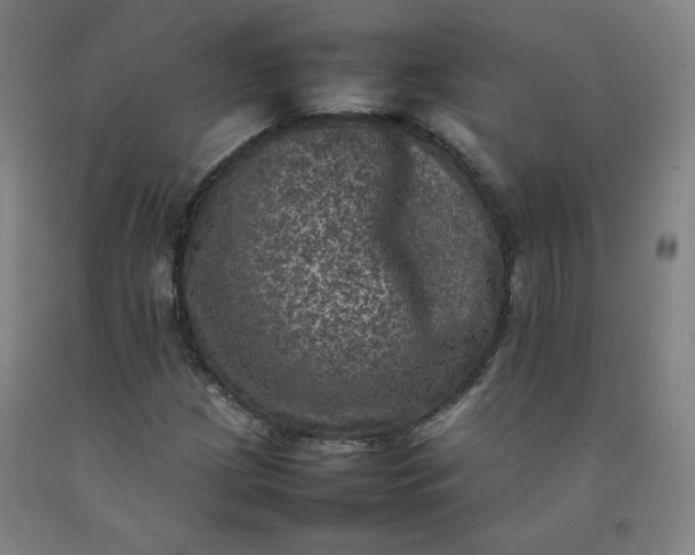 X0000092221209200709281036