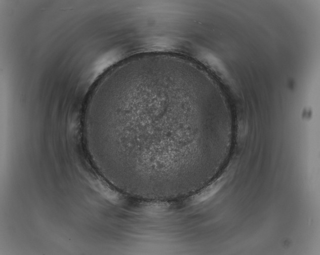 X0000092221210200709281036
