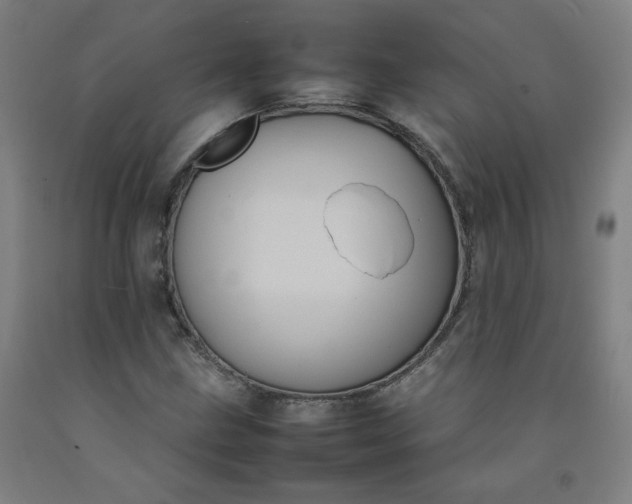 X0000092221211200709281036