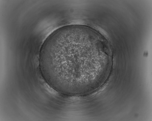 X0000092221212200709281036