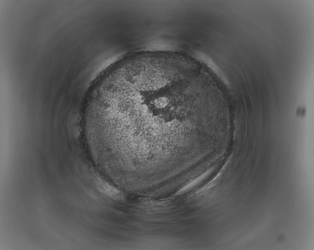 X0000092221213200709281036