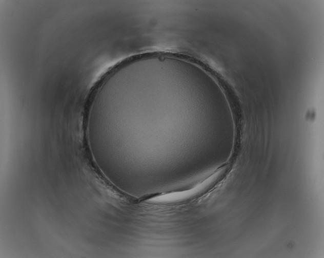 X0000092221214200709281036